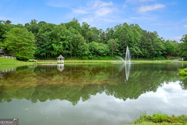 112 Gleneagle Ct Unit D202, Clayton, GA 30525 - water view featuring a heavily wooded area