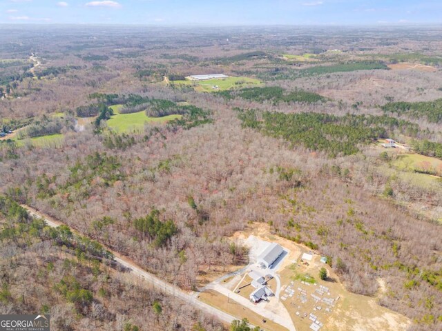 TRACT1 Georgia Highway 100, Buchanan, GA 30113