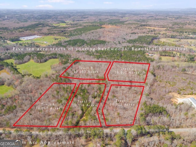 TRACT1 Georgia Highway 100, Buchanan, GA 30113