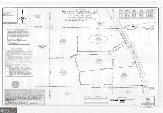TRACT1 Georgia Highway 100, Buchanan, GA 30113