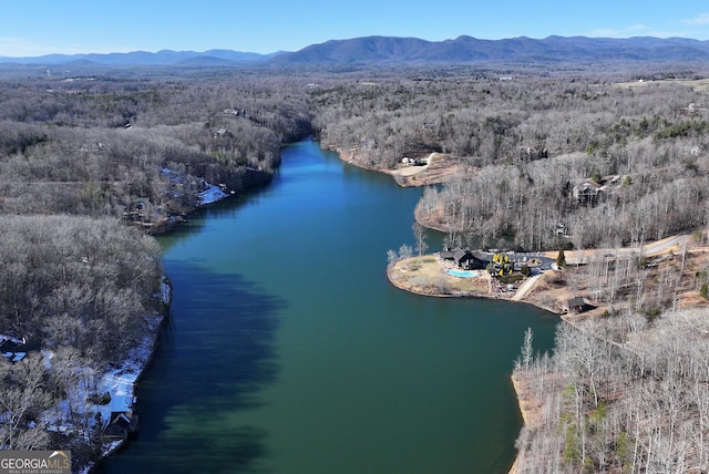 0 Forked Leaf Rd Unit 35, Cleveland, GA 30528