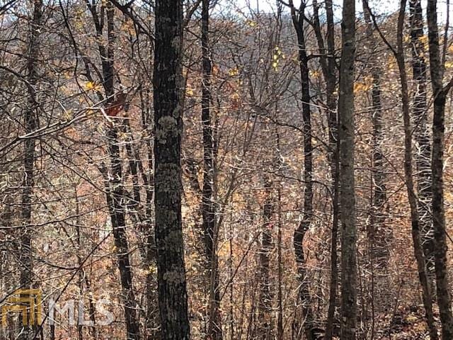 0 Forked Leaf Rd Unit 35, Cleveland, GA 30528