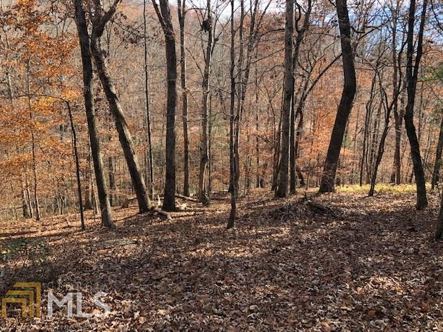 0 Forked Leaf Rd Unit 35, Cleveland, GA 30528