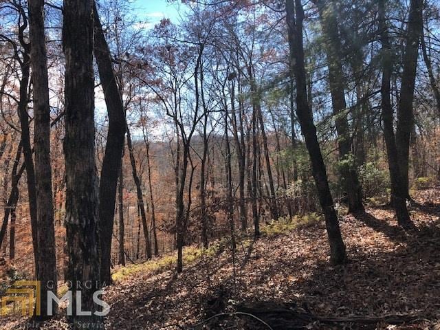 0 Forked Leaf Rd Unit 35, Cleveland, GA 30528