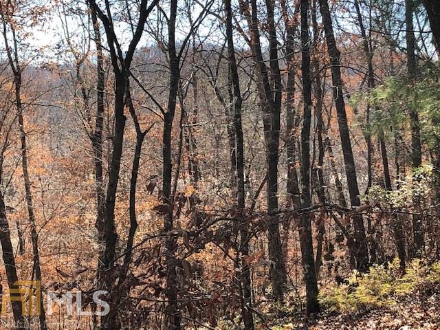 0 Forked Leaf Rd Unit 35, Cleveland, GA 30528