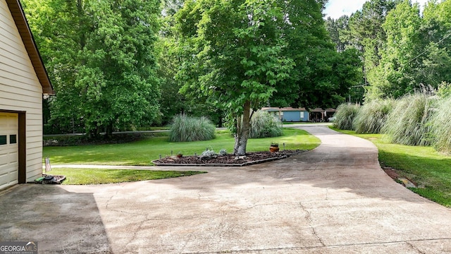 404 Carruth Rd, Winder, GA 30680 - view of grassy yard with concrete driveway