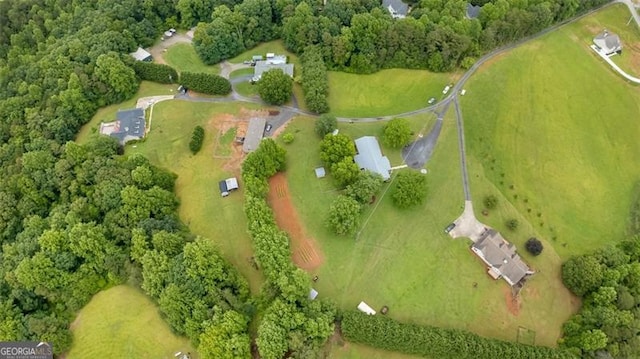 190 Roberts Way, Cornelia, GA 30531 - aerial view of sparsely populated area