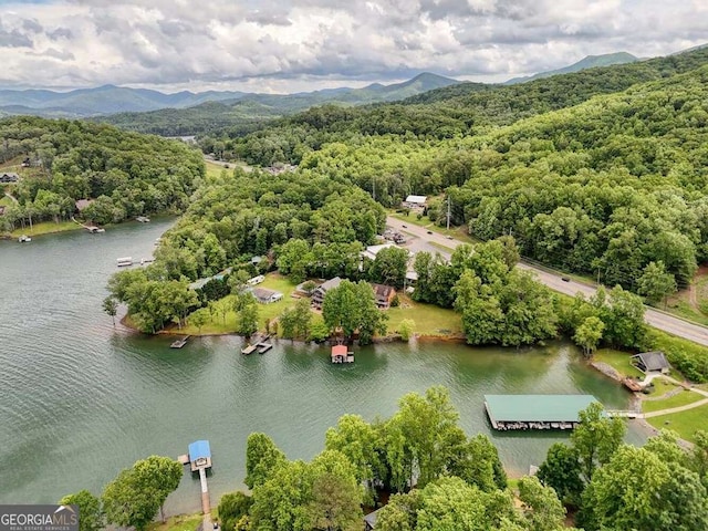 2309 Ridgecrest Cir, Hiawassee, GA 30546 - drone / aerial view of a forest and a water and mountain view