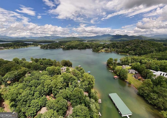 2309 Ridgecrest Cir, Hiawassee, GA 30546 - bird's eye view of a water and mountain view and a forest