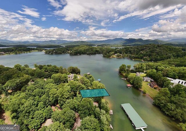 2309 Ridgecrest Cir, Hiawassee, GA 30546 - bird's eye view of a water and mountain view and a heavily wooded area