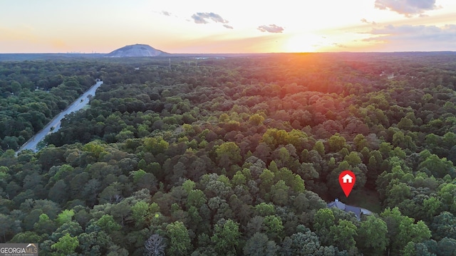 2878 Heather Row Rdg SW, Lilburn, GA 30047 - bird's eye view of a heavily wooded area