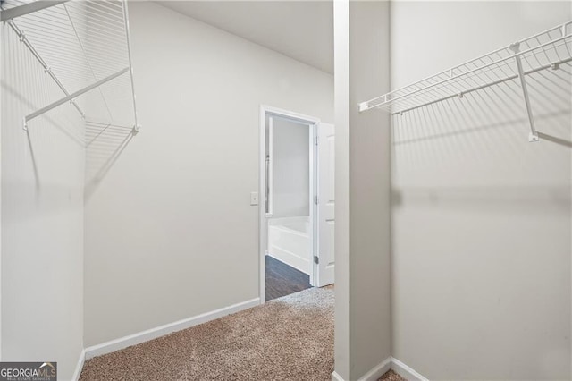 303 Orange Cir, Dawsonville, GA 30534 - spacious closet with carpet floors