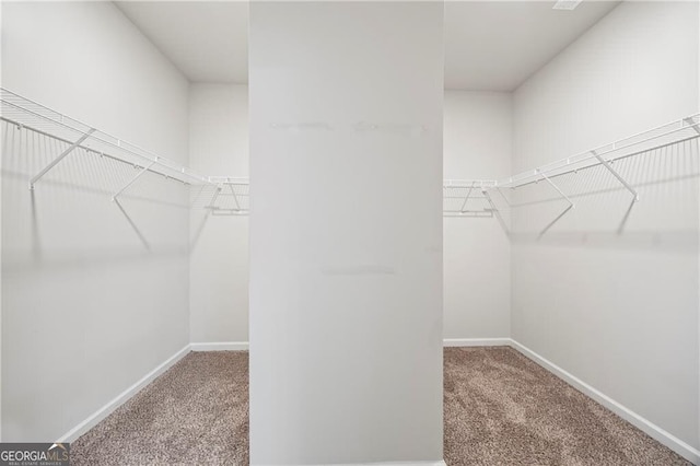 303 Orange Cir, Dawsonville, GA 30534 - walk in closet featuring carpet flooring