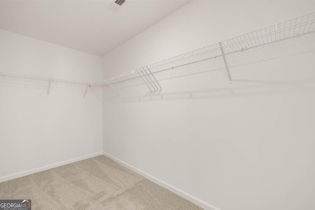12085 Conrad Cir, Hampton, GA 30228 - walk in closet with carpet