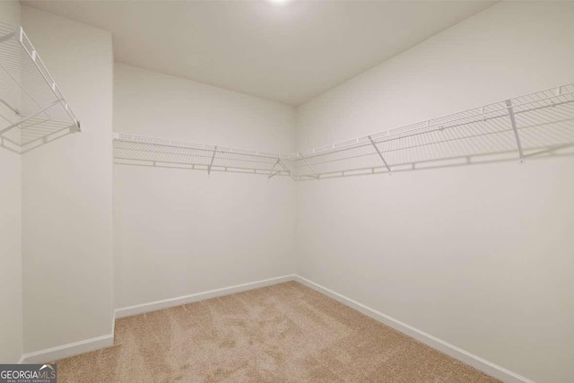 1311 Aura Ln, Lawrenceville, GA 30045 - walk in closet featuring carpet flooring