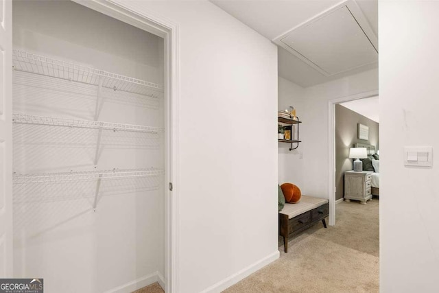 1311 Aura Ln, Lawrenceville, GA 30045 - view of closet