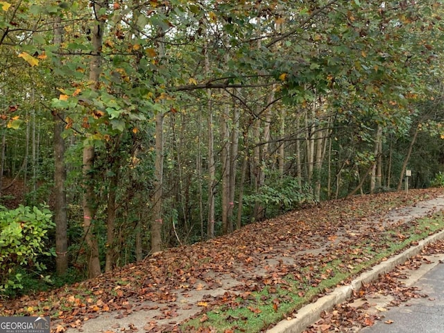 1303 Cobblemill Way NW, Kennesaw, GA 30152 - view of woods