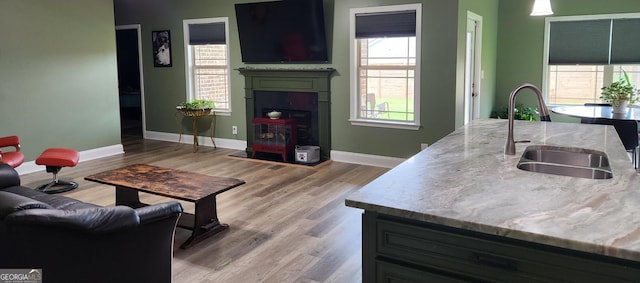 556 Constitution Dr, Forsyth, GA 31029 - living area with baseboards, a fireplace, and plenty of natural light