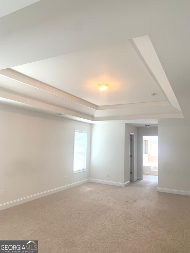 2118 Water Mill Ct, Buford, GA 30519 - spare room with a raised ceiling, light carpet, baseboards, and plenty of natural light