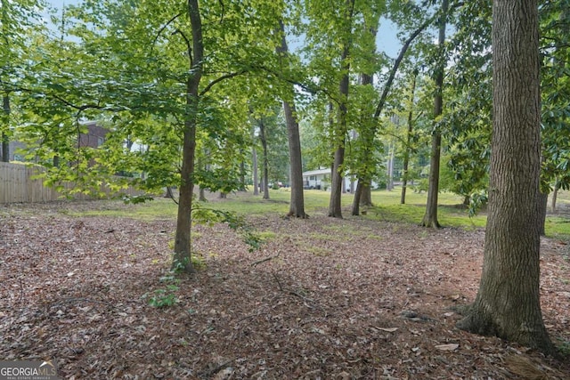 220 Chinkapin Cir SW, South Fulton, GA 30311 - view of yard