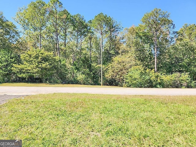 797 Gabbettville Rd, Lagrange, GA 30240 - view of green lawn