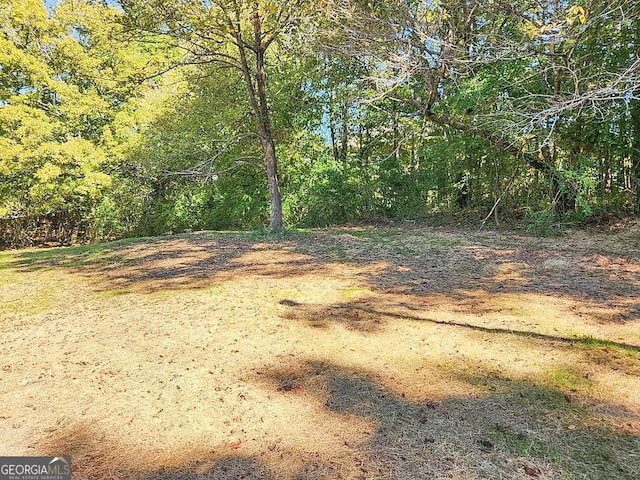 797 Gabbettville Rd, Lagrange, GA 30240 - view of woods