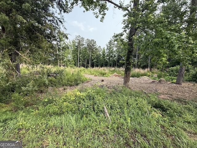 91 Holly Grove Rd, Griffin, GA 30224