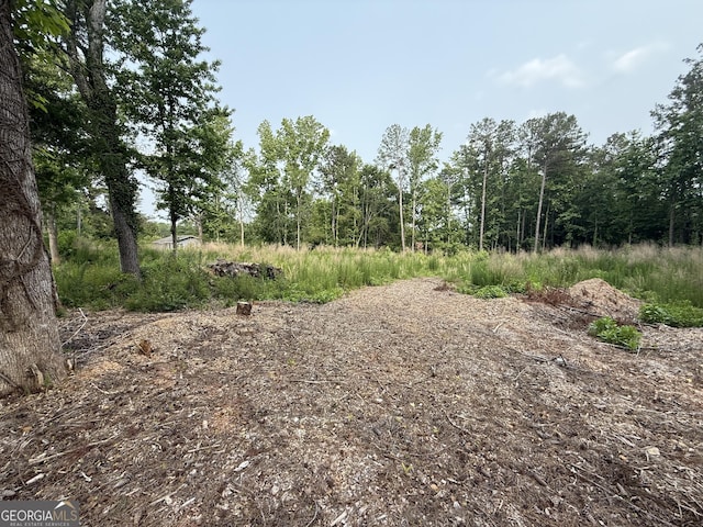 91 Holly Grove Rd, Griffin, GA 30224