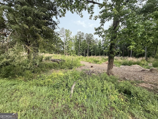 91 Holly Grove Rd, Griffin, GA 30224