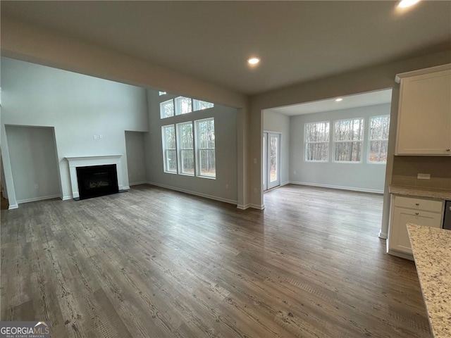 817 Dobby Way Lot 96, Mcdonough, GA 30252 - unfurnished living room with healthy amount of natural light, recessed lighting, baseboards, and wood finished floors