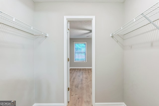 1005 Peachtree Forest Ter, Peachtree Corners, GA 30092 - walk in closet featuring light wood finished floors