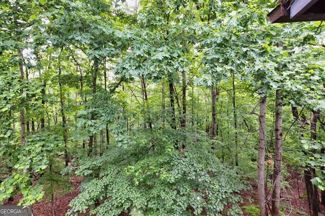 6504 Samoa, Flowery Branch, GA 30542 - view of tree filled area