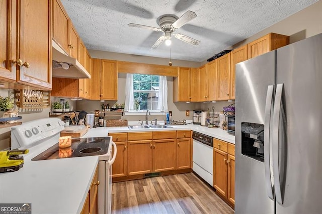 6504 Samoa, Flowery Branch, GA 30542 - kitchen with white appliances, under cabinet range hood, a sink, a ceiling fan, and light wood-type flooring