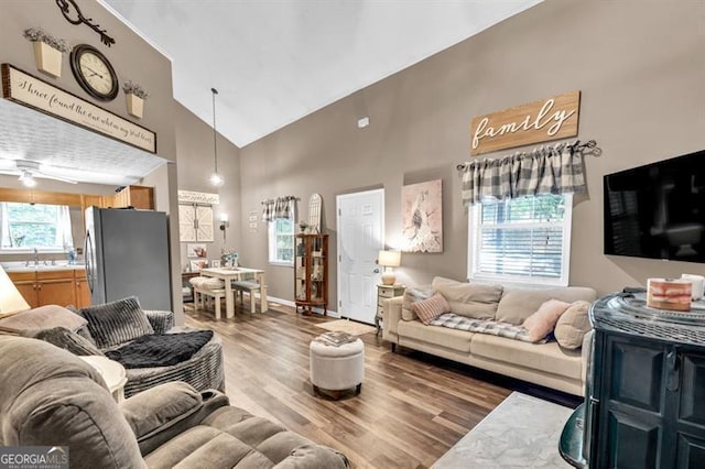 6504 Samoa, Flowery Branch, GA 30542 - living area with high vaulted ceiling, wood finished floors, and baseboards