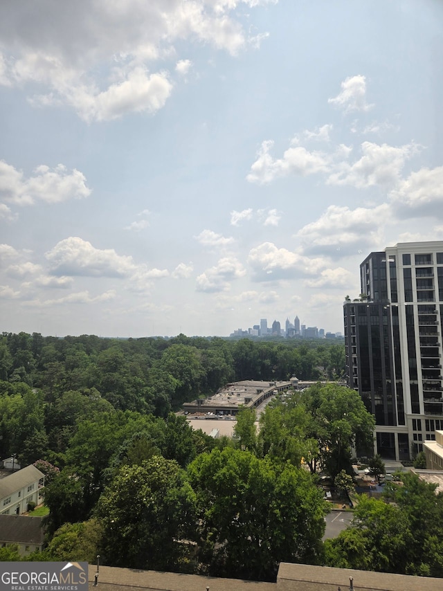 2479 Peachtree Rd NE Unit 902, Atlanta, GA 30305 - view of city
