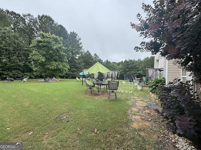 12402 Muir Field Ct, Fayetteville, GA 30215 - view of green lawn with a trampoline