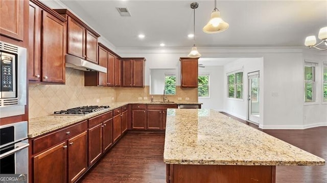 2040 Bloomfield Ct, Cumming, GA 30041 - kitchen featuring stainless steel appliances, under cabinet range hood, dark wood finished floors, healthy amount of natural light, and ornamental molding