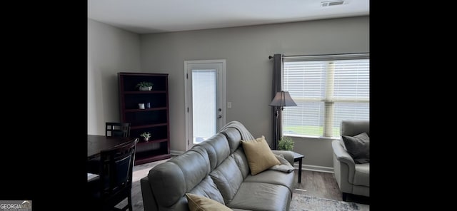 4241 Swamp Cypress Trl, Gainesville, GA 30504 - living room with plenty of natural light and wood finished floors