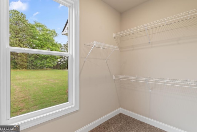 123 Oak Rd, Locust Grove, GA 30248 - walk in closet with carpet flooring