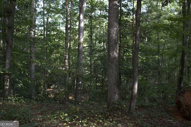 243 N Point Cir, Hartwell, GA 30643