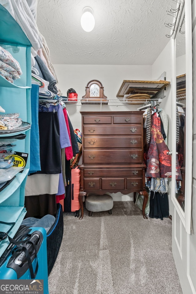 2009 Parador Aly, Mcdonough, GA 30253 - spacious closet with carpet floors