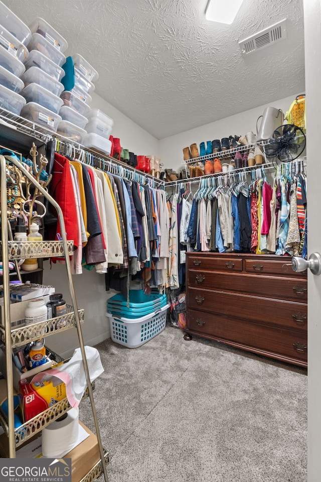 2009 Parador Aly, Mcdonough, GA 30253 - spacious closet with carpet flooring