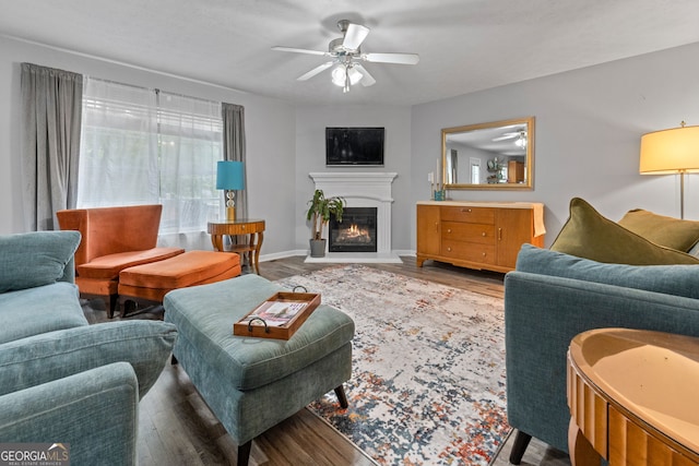 2009 Parador Aly, Mcdonough, GA 30253 - living room featuring a ceiling fan, wood finished floors, a glass covered fireplace, and baseboards