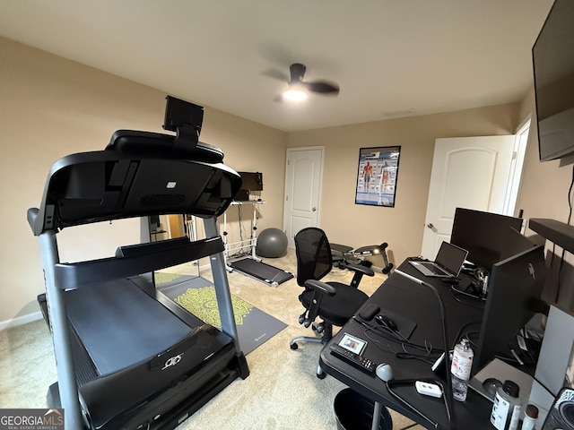 3205 Anneewakee Falls Parkway, Douglasville, GA 30135 - exercise room featuring carpet flooring