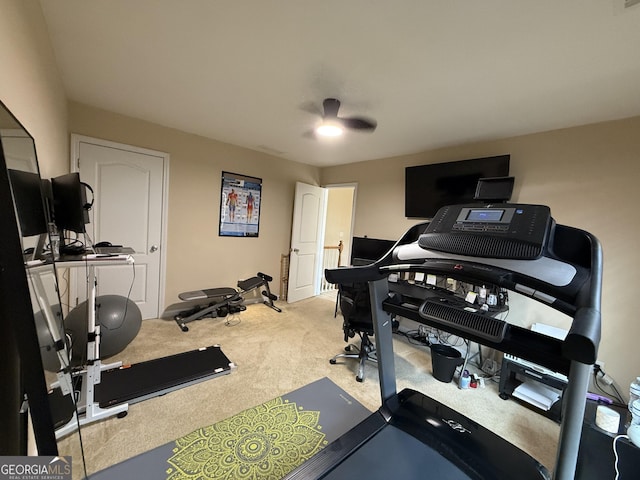 3205 Anneewakee Falls Parkway, Douglasville, GA 30135 - workout room with carpet floors