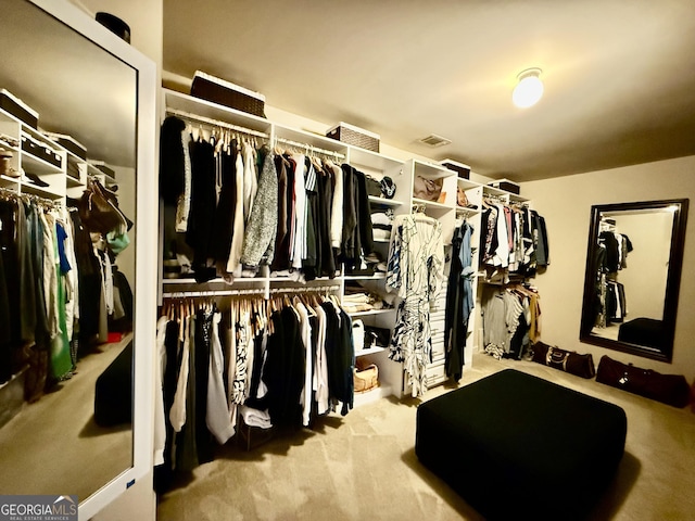 3205 Anneewakee Falls Parkway, Douglasville, GA 30135 - walk in closet with carpet
