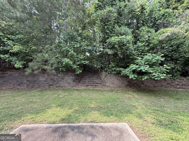3205 Anneewakee Falls Parkway, Douglasville, GA 30135 - view of green lawn
