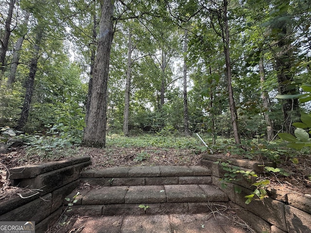 3205 Anneewakee Falls Parkway, Douglasville, GA 30135 - view of yard
