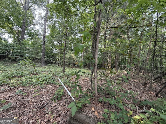 3205 Anneewakee Falls Parkway, Douglasville, GA 30135 - view of woods