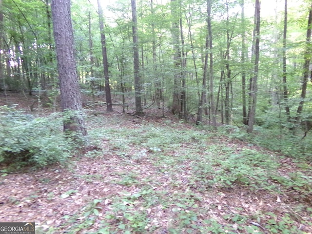26ACRES Pj E Rd, Covington, GA 30014